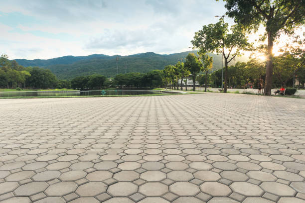 Best Residential Paver Driveway  in Bridgeport, PA